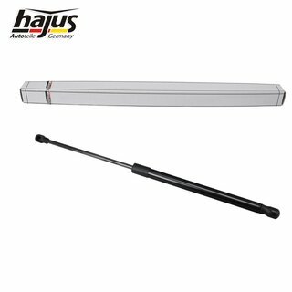 Gasfeder, Koffer-/Laderaum