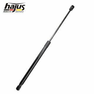 Gasfeder, Koffer-/Laderaum