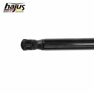 Gasfeder, Koffer-/Laderaum