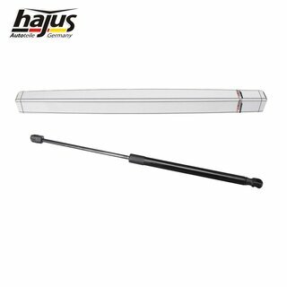 Gasfeder, Koffer-/Laderaum