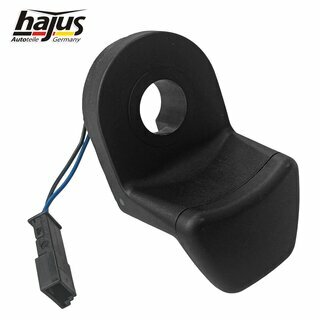 Schalter, Heckklappenentriegelung