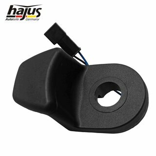 Schalter, Heckklappenentriegelung