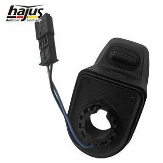 Schalter, Heckklappenentriegelung