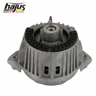 Lagerung, Motor