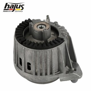 Lagerung, Motor
