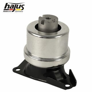 Lagerung, Motor