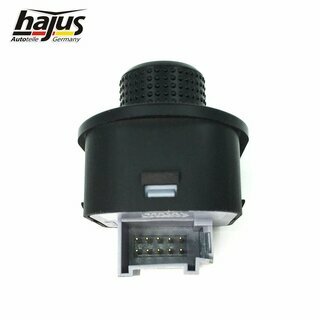 Schalter, Au�enspiegelverstellung