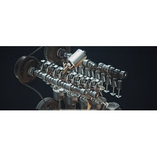 Stellelement, Exzenterwelle (variabler Ventilhub)