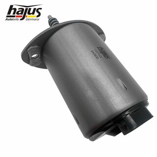 Stellelement, Exzenterwelle (variabler Ventilhub)