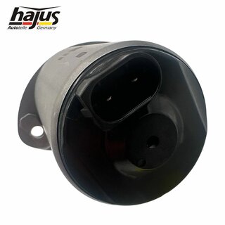 Stellelement, Exzenterwelle (variabler Ventilhub)