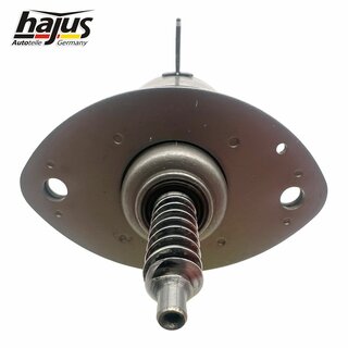 Stellelement, Exzenterwelle (variabler Ventilhub)
