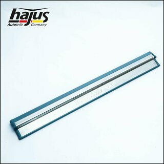 Trittbrett V8 anthrazit