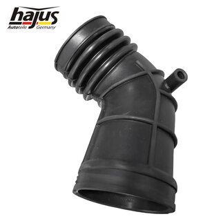 Ansaugschlauch, Luftfilter