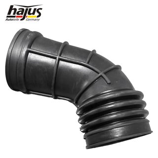 Ansaugschlauch, Luftfilter