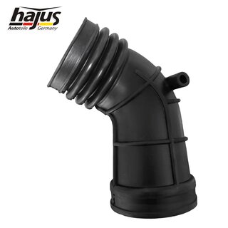 Ansaugschlauch, Luftfilter