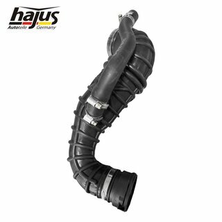 Ansaugschlauch, Luftfilter