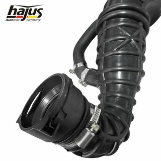 Ansaugschlauch, Luftfilter