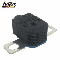 Überspannungsschutzgerät, Generator