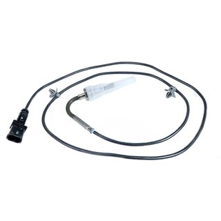 Abgassensor