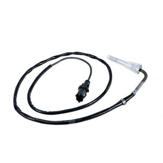 Abgastemperatursensor