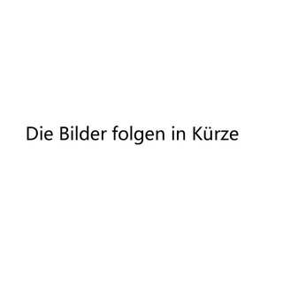F�hrung, Spannseil