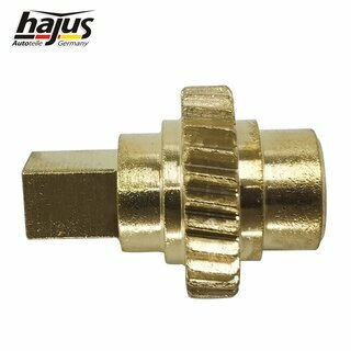 Getriebe, Elektromotor-Schiebedach