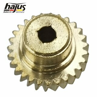 Getriebe, Elektromotor-Schiebedach