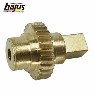 Getriebe, Elektromotor-Schiebedach