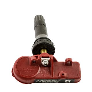 Radsensor, Reifendruck-Kontrollsystem
