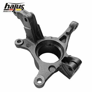 Achsschenkel, Radaufhngung