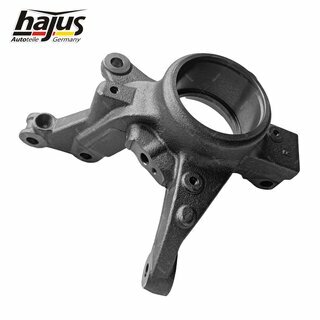 Achsschenkel, Radaufhngung