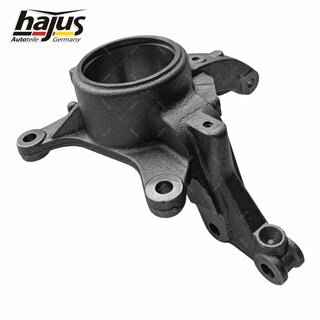 Achsschenkel, Radaufhngung