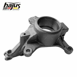 Achsschenkel, Radaufhngung