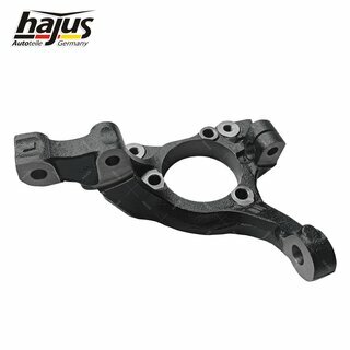 Achsschenkel, Radaufhngung