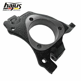 Achsschenkel, Radaufhngung