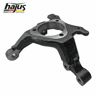 Achsschenkel, Radaufhngung