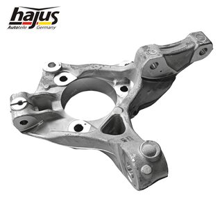 Achsschenkel, Radaufhngung