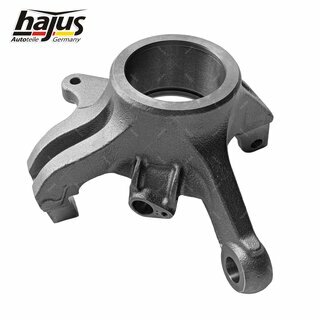 Achsschenkel, Radaufhngung