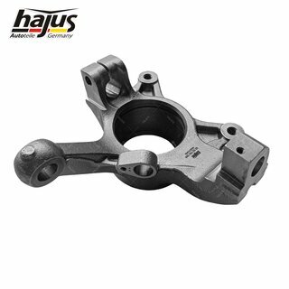 Achsschenkel, Radaufhngung