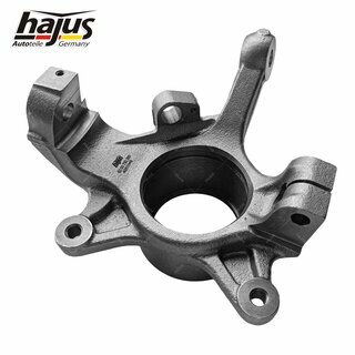 Achsschenkel, Radaufhngung