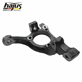 Achsschenkel, Radaufhngung