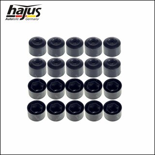 Kappe, Radschraube 20pcs