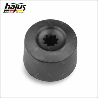 Kappe, Radschraube 20pcs