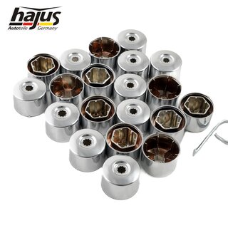 Kappe, Radschraube 20pcs