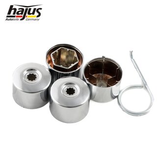Kappe, Radschraube 20pcs