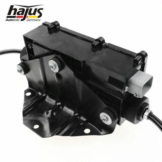 Stellelement, Feststellbremse Bremssattel