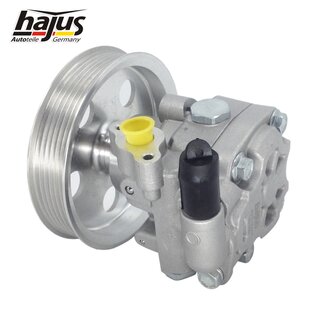 Hydraulikpumpe, Lenkung