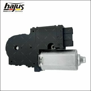 Elektromotor, Schiebedach