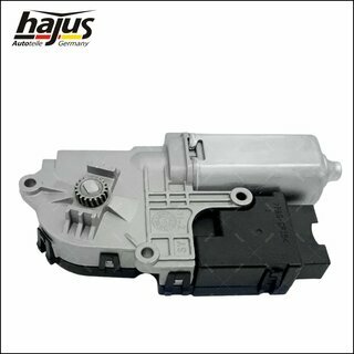 Elektromotor, Schiebedach