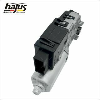 Elektromotor, Schiebedach